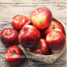 100% Natural Certificated Organic Apple Fruit Juice Extract Powder